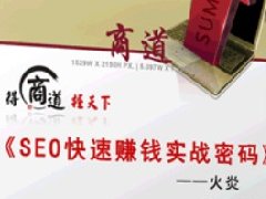 商道网《SEO快速赚钱实战