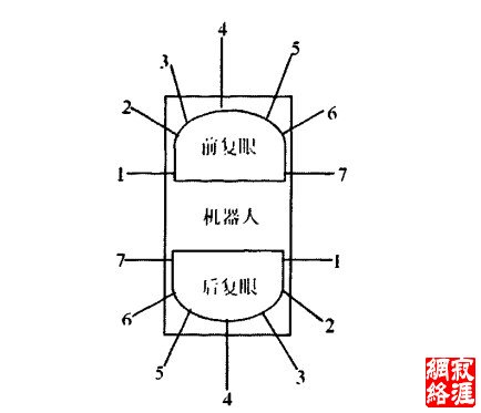 图3机器人前后复眼通道号分步圈