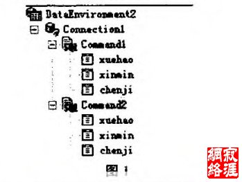 动态数据报表设计