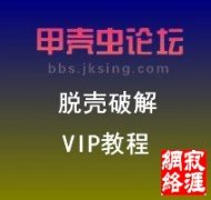 甲壳虫VIP破解解密班教程