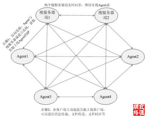 本 DNIDS 系统结构示意图